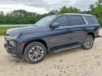 2025 CHEVROLET TAHOE