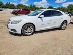 2013 CHEVROLET MALIBU