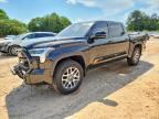 2025 TOYOTA TUNDRA