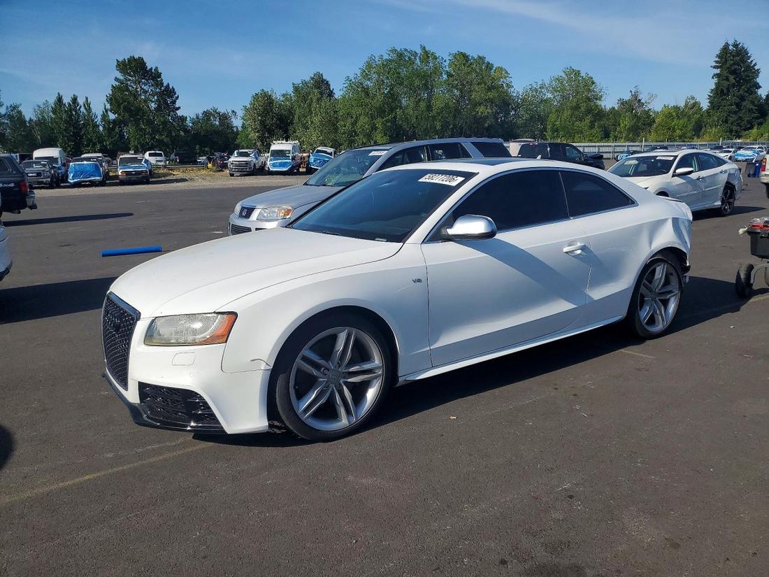 2010 AUDI S5