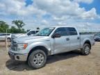 2013 FORD F150