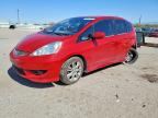 2009 HONDA FIT
