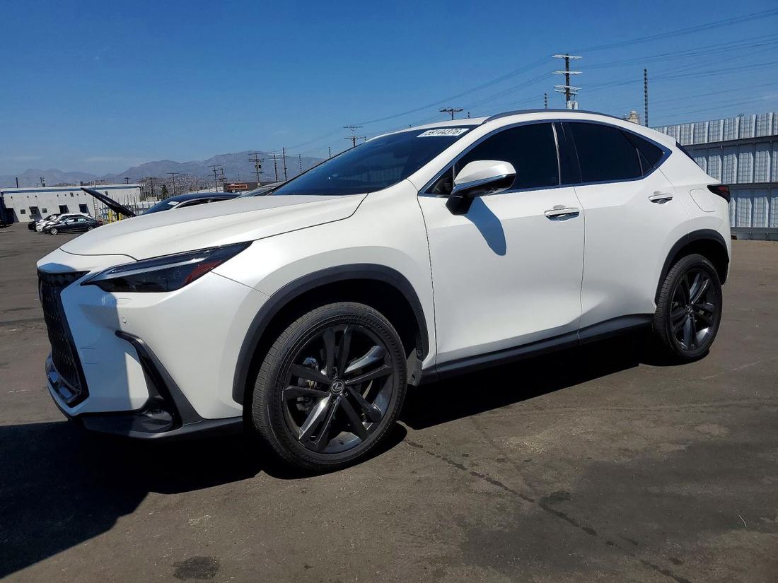 2024 LEXUS NX 450H+