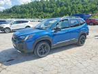 2024 SUBARU FORESTER