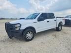 2017 FORD F150