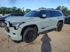 2026 TOYOTA SEQUOIA