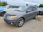 2010 HYUNDAI SANTA FE