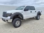 2012 FORD F150