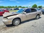 1999 CHEVROLET MALIBU