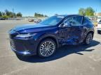 2025 LEXUS RX