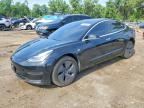 2019 TESLA MDL 3