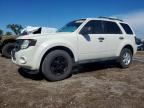 2010 FORD ESCAPE