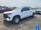 2025 CHEVROLET SILVERADO