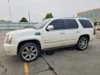 2009 CADILLAC ESCALADE
