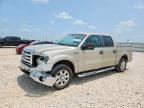 2009 FORD F150