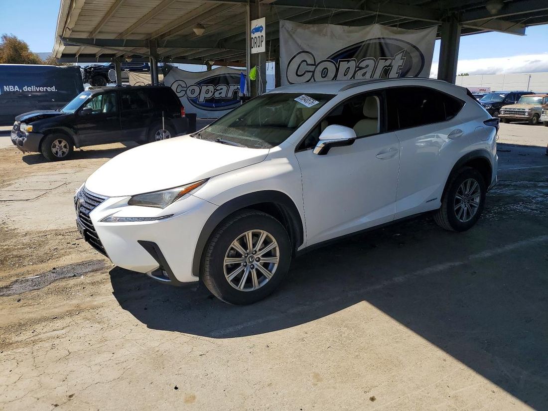 2019 LEXUS NX