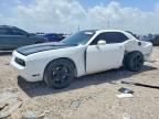 2013 DODGE CHALLENGER