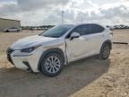 2021 LEXS NX 300