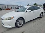2013 LEXUS ES