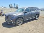 2024 HONDA PILOT