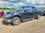 2014 FORD F150