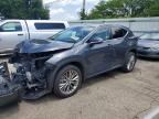 2023 LEXUS NX