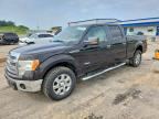 2013 FORD F150