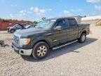 2012 FORD F150