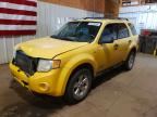 2008 FORD ESCAPE