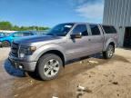 2013 FORD F150