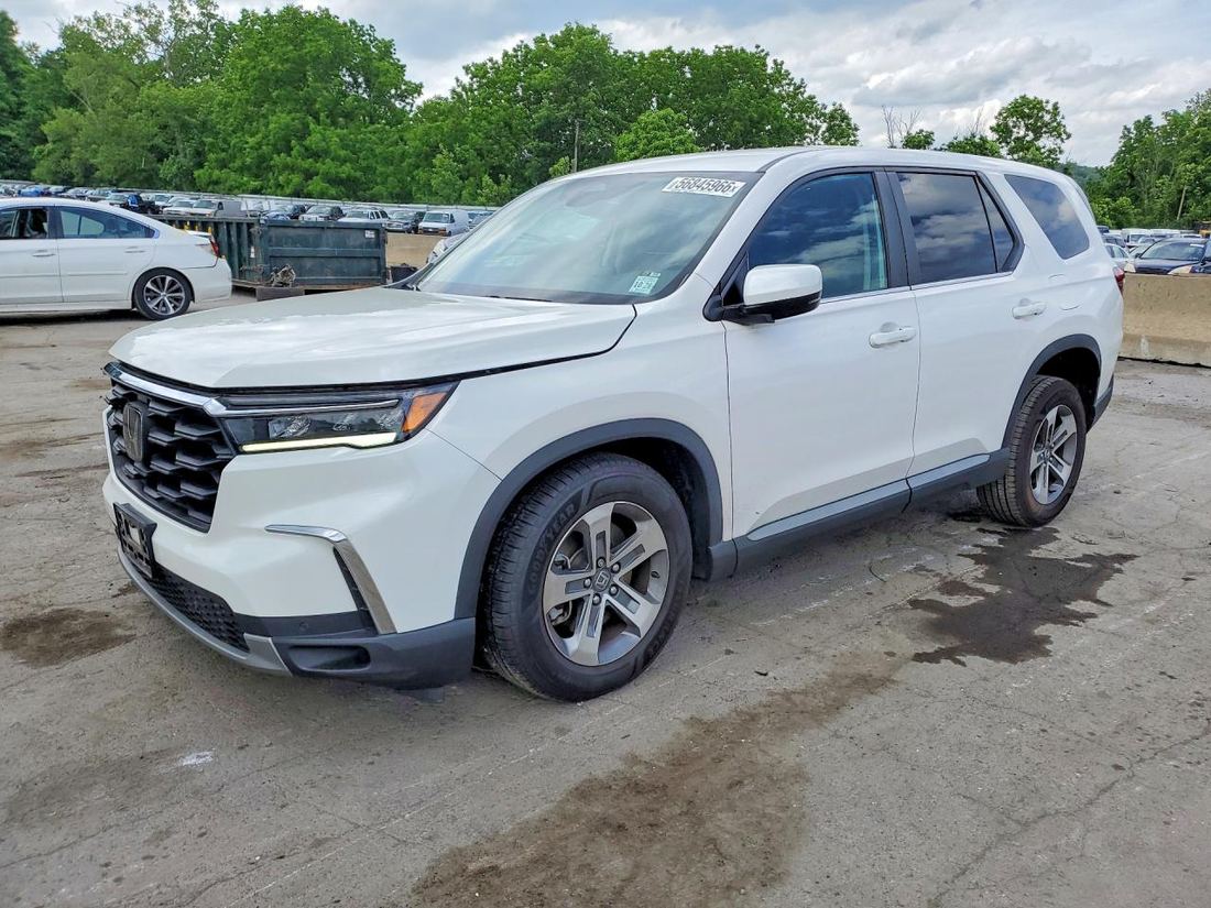 2024 HONDA PILOT