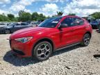 2021 ALFA ROMEO STELVIO