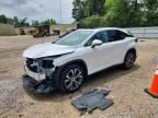 2021 LEXUS RX