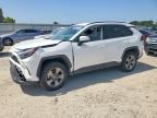 2024 TOYOTA RAV4 HYBRID