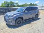 2021 LEXUS GX 460