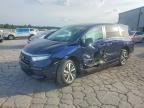 2023 HONDA ODYSSEY
