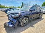 2024 TOYOTA RAV4 HYBRID
