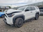 2026 TOYOTA 4RUNNER