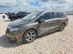 2021 HONDA ODYSSEY