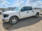 2013 FORD F150