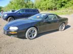 2000 CHEVROLET CAMARO