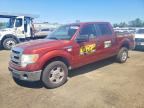 2014 FORD F150