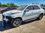 2025 MERCEDES-BENZ GLE
