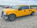 2014 FORD F150