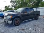 2013 FORD F150