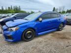 2019 SUBARU WRX
