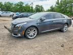 2019 CADILLAC XTS