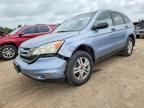 2010 HONDA CR-V
