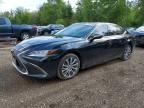2019 LEXUS ES
