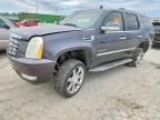 2010 CADILLAC ESCALADE